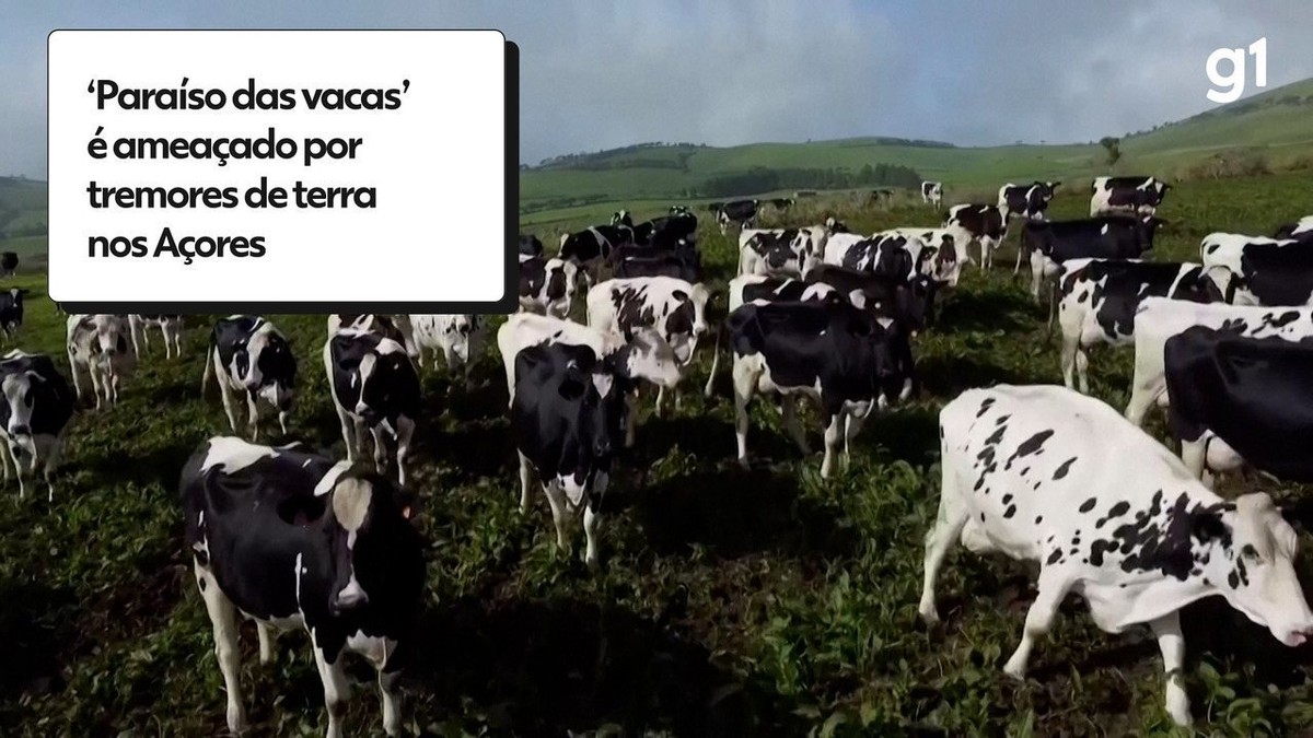 Brasil vê embarque de sêmen bovino à Índia como impulso às vendas