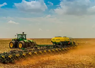 Na Argentina, plantio de soja alcança 43,8% da área; de milho atinge 32,3%, diz bolsa de cereais