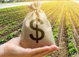 Mudanças na lei de recuperações judiciais colocam em risco financiamentos privados ao agro