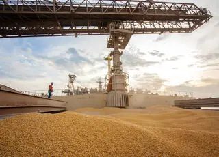 Agribrasil teve queda de 58,6% no lucro do 4º trimestre