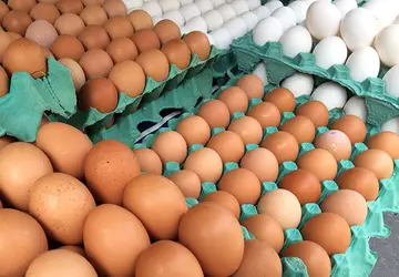 Preços dos ovos interrompem estabilidade e encerram julho em queda