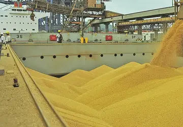 Relatório dos EUA projeta queda nas importações chinesas de soja em 2024/25