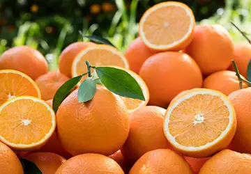 MS firma acordo para quadruplicar área plantada com citrus no Estado