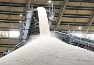 Preços do açúcar no mercado interno recupera vantagem sobre externo