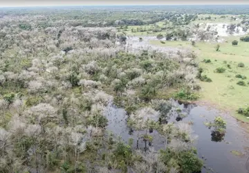 Pantanal: como 'furos' em lei permitiram que fazendeiro suspeito de usar agrotóxico da Guerra do Vietnã recebesse empréstimos públicos