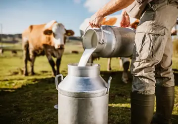 LEITE/CEPEA: Chuvas no RS prejudicam setor lácteo e podem alterar sazonalidade de preços