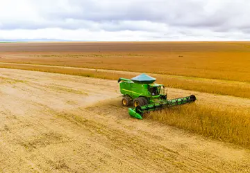 USDA vê safra de soja no Brasil robusta mesmo após problemas climáticos