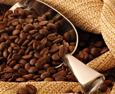 CAFÉ/CEPEA: Arábica e robusta saltam 200 Reais/sc em abril