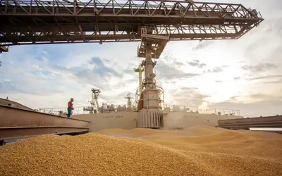 Agribrasil teve queda de 58,6% no lucro do 4º trimestre