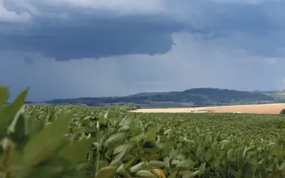 Chuvas irregulares e altas temperaturas impactam cultivos em algumas regiões