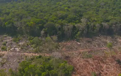 Combate a trabalho escravo e compromissos ambientais: pecuaristas aderem a projeto que busca frear desmate no Cerrado