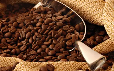 CAFÉ/CEPEA: Arábica e robusta saltam 200 Reais/sc em abril