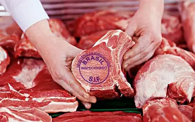 Exportação total de carne bovina em abril de 2024 é recorde