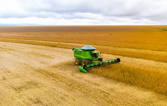 USDA vê safra de soja no Brasil robusta mesmo após problemas climáticos
