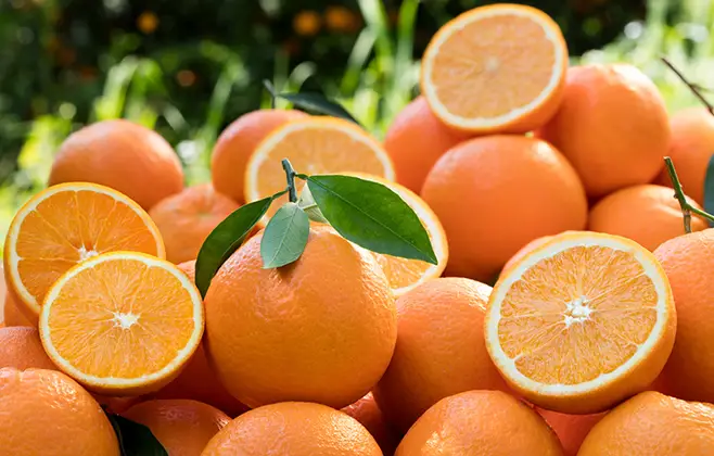 MS firma acordo para quadruplicar área plantada com citrus no Estado