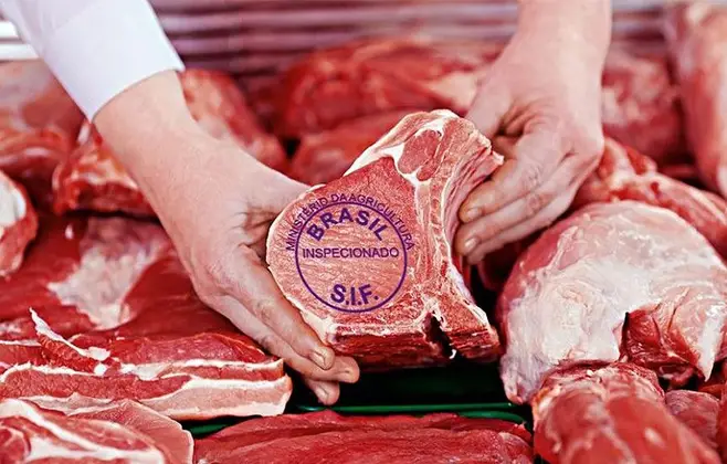 Exportação total de carne bovina em abril de 2024 é recorde